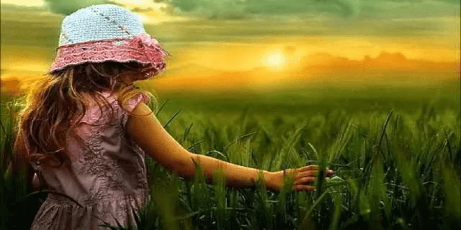 ISO 14001 Çevre Yönetimi Danışmanlığı