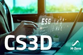 CS3D Danışmanlığı