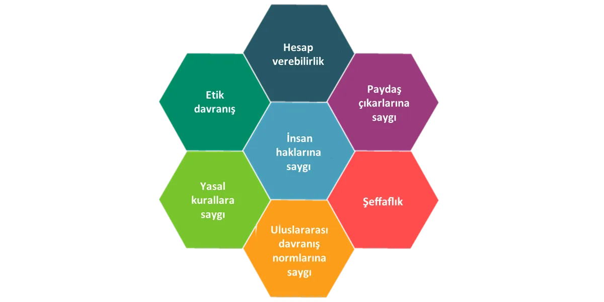 ISO 26000 Standardının Temel İlkeleri
