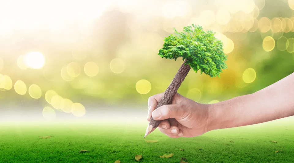 Sürdürülebilirlik raporlaması standartlarına bir bakış