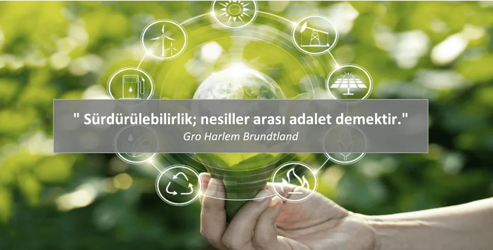 Sürdürülebilirlik Raporlaması: GRI, ESRS ve CDP Nedir?